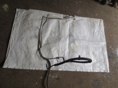 IMG_00022352