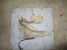IMG_0007722