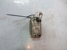 IMG_00099376
